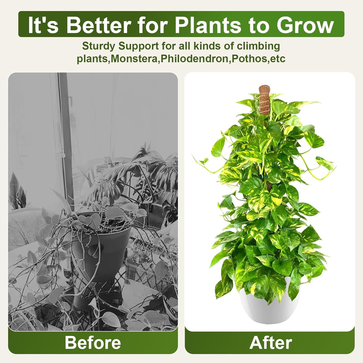 2 Pack 63'' Bendable Moss Pole Monstera Plant Support for Indoor Climbing Plants, Tall Plant Stick Support Stake for Potted Plants, Pothos, Philodendron-VerdiqueGarden
