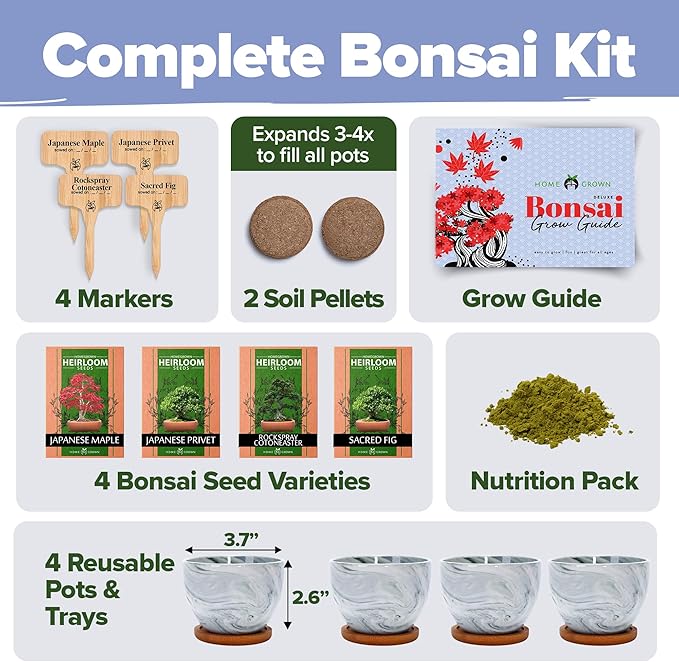 HOME GROWN Bonsai Tree Kit - Premium Ceramic Starter Kit - 4 Variety of Bonsai - Unique Gift for Men and Women Gardeners (BK2-2nd-MF)-VerdiqueGarden