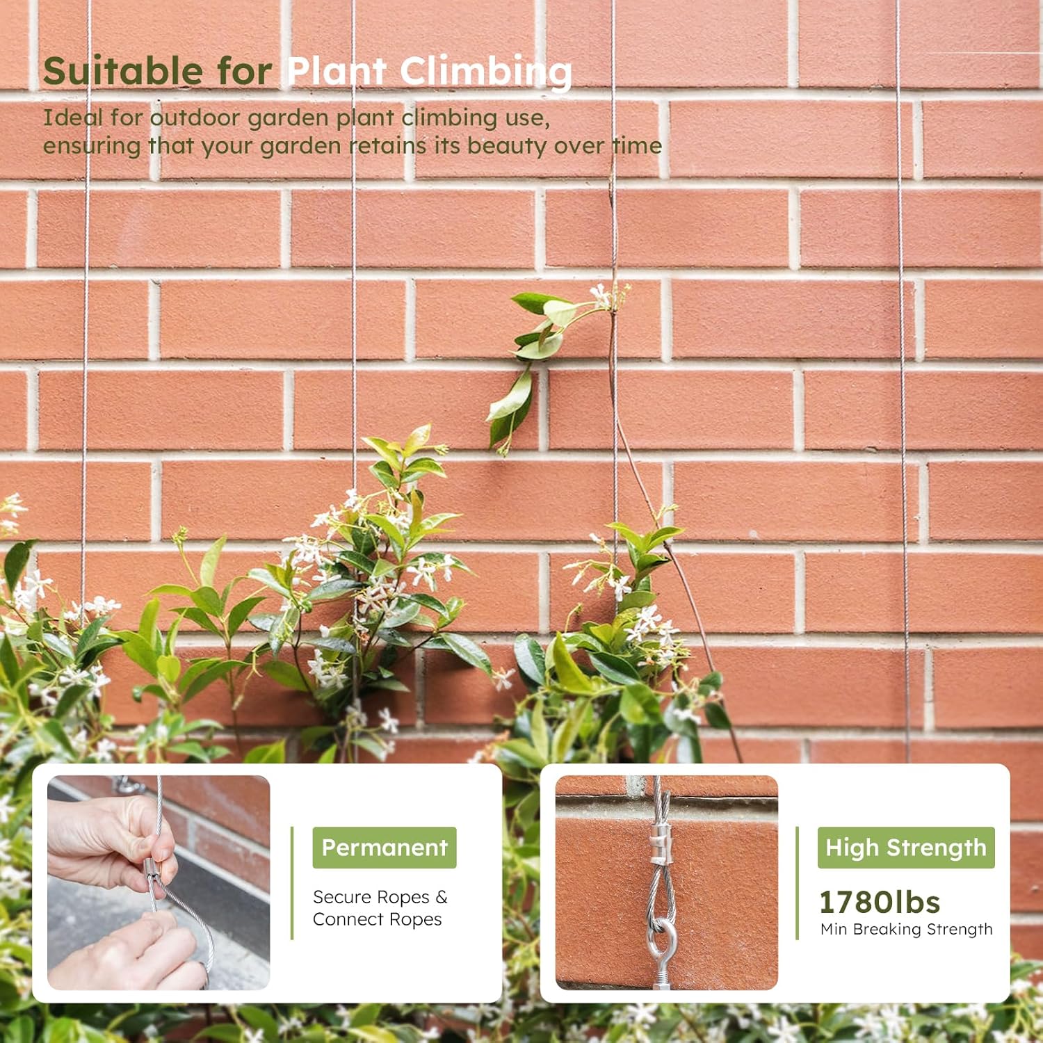 1/8 Inch Stainless Steel Cable Kit 100FT, 7 x 7 Strand Wire Rope with Aluminium Sleeves & Thimbles for Deck Railing, String Light Hanging, Shade Sail, Garden and DIY Projects-VerdiqueGarden