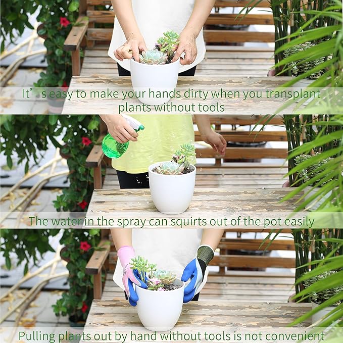 11Pcs Succulent Tools,Mini Garden Tools,Succulent Watering Tool as Plant Accessories,Succulent Gardending Hand Tools Kit for Seedling Soil,Caring Succulent,Houseplant,Gifts for Woman (No Flowerpot)-VerdiqueGarden