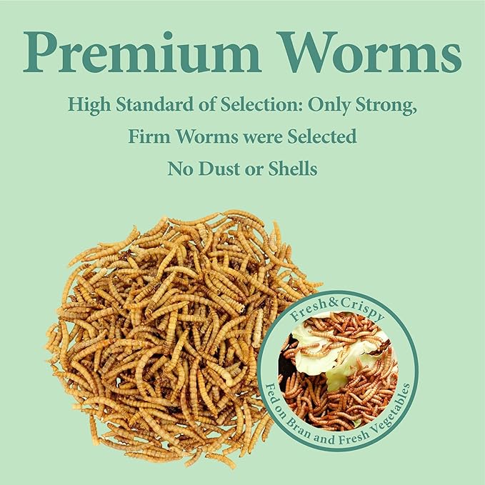 3LB Dried Mealworms, Great Treat for Chicken, Duck, Birds, Reptile, Hamster,Hedgehog, Pigeon-VerdiqueGarden