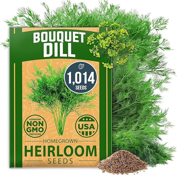 HOME GROWN 𝗨𝗦𝗔 𝗣𝗥𝗘𝗠𝗜𝗨𝗠 Dill Seeds for Planting 1,014 Bouquet Dill Seeds 𝗡𝗢𝗡-𝗚𝗠𝗢 and Heirloom Herb Seeds for Planting Outdoors, Grow Your Fragrant Dill Herb Garden (Anethum graveolens)-VerdiqueGarden