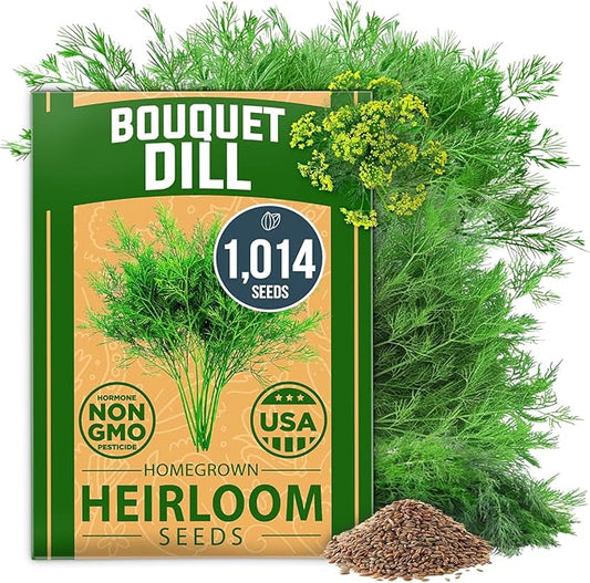 HOME GROWN 𝗨𝗦𝗔 𝗣𝗥𝗘𝗠𝗜𝗨𝗠 Dill Seeds for Planting 1,014 Bouquet Dill Seeds 𝗡𝗢𝗡-𝗚𝗠𝗢 and Heirloom Herb Seeds for Planting Outdoors, Grow Your Fragrant Dill Herb Garden (Anethum graveolens)-VerdiqueGarden