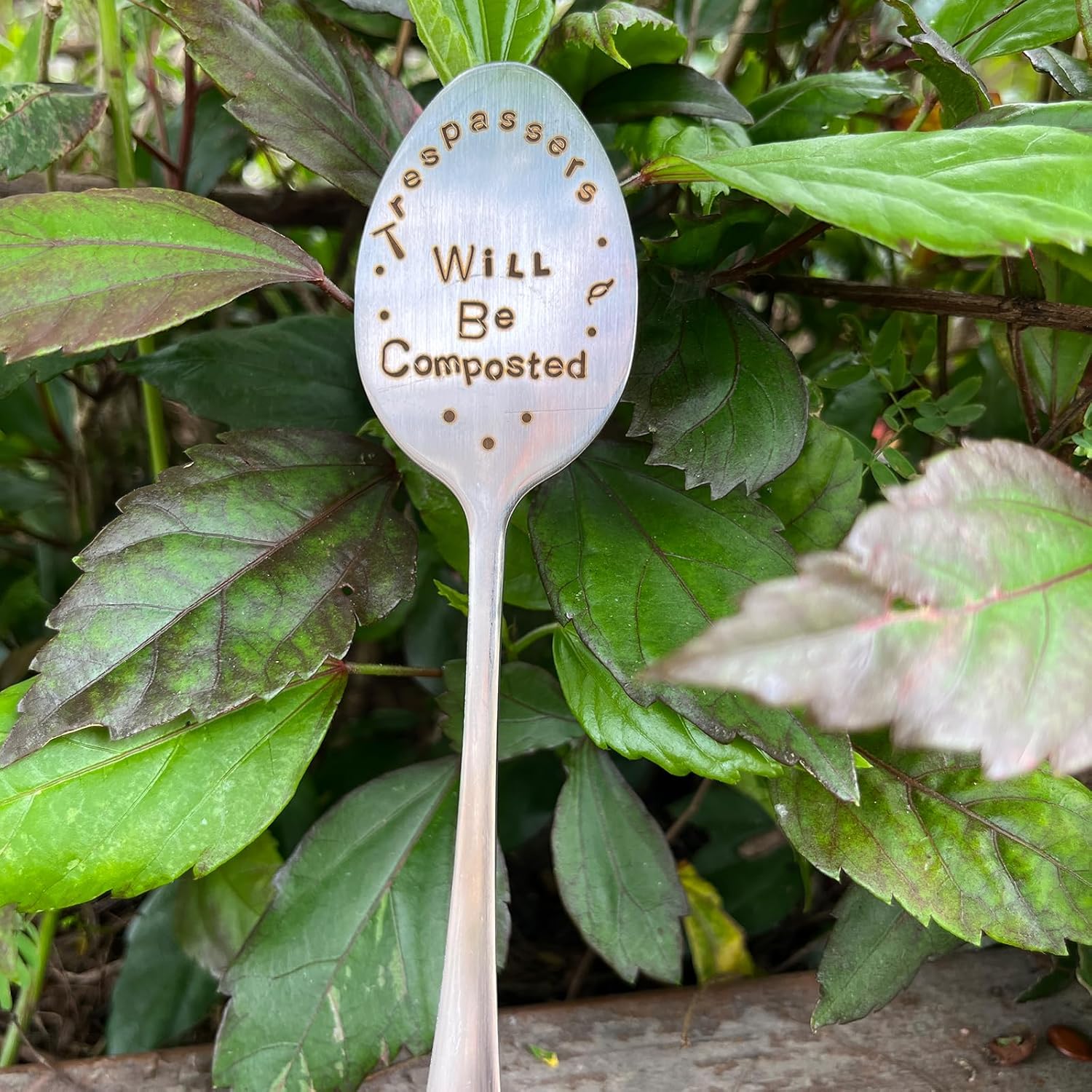 Garden Plant Marker Friendship Gift for Women Gardeners, Plant Stake Label Sign Tag Gardening Gifts for Woman Plant Lovers, Metal Garden Decoration (Will Be Composted)-VerdiqueGarden