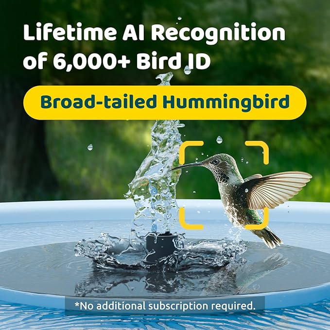 Birdfy Smart Bird Bath with Camera Solar Powered & Fountain, Dual-Lens Camera for Wildbird Watching, Auto Capture Bird Videos & Motion Detection - AI Lifetime Version-VerdiqueGarden