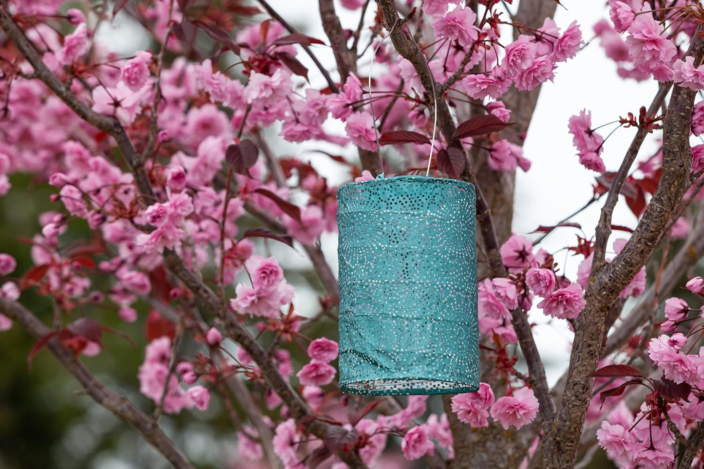 Allsop Soji Stella - Tin Art' Punched Luminaria - Cylinder - 7.5" - Outdoor Solar Latern - Metallic Emerald-VerdiqueGarden