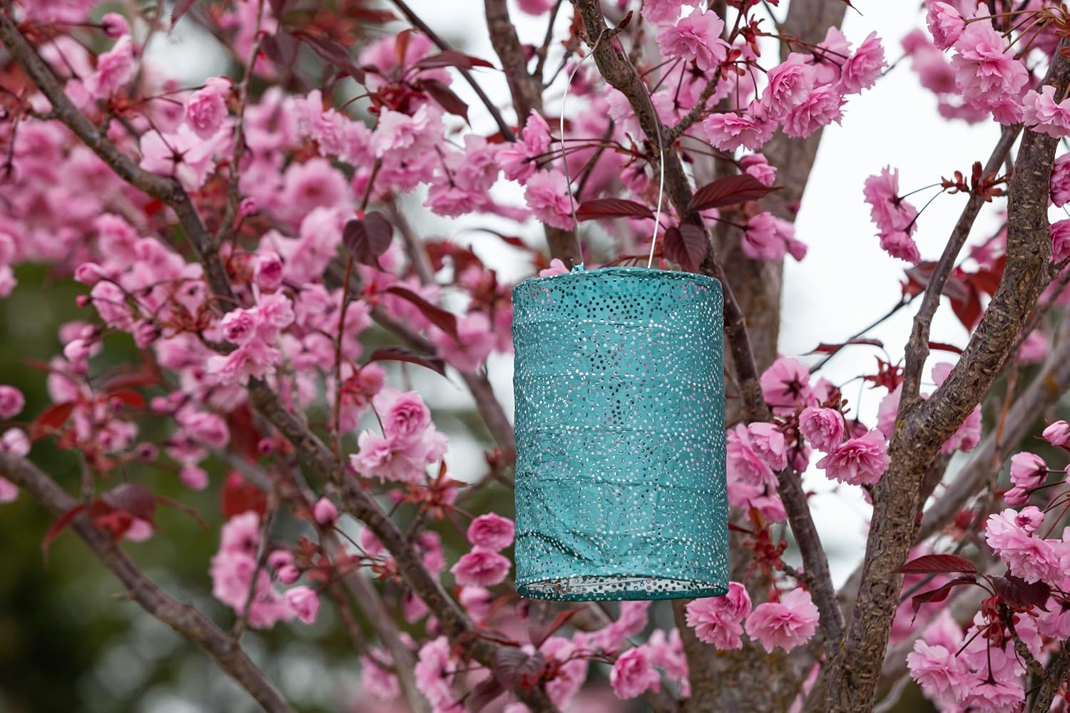Allsop Soji Stella - Tin Art' Punched Luminaria - Cylinder - 7.5" - Outdoor Solar Latern - Metallic Emerald-VerdiqueGarden