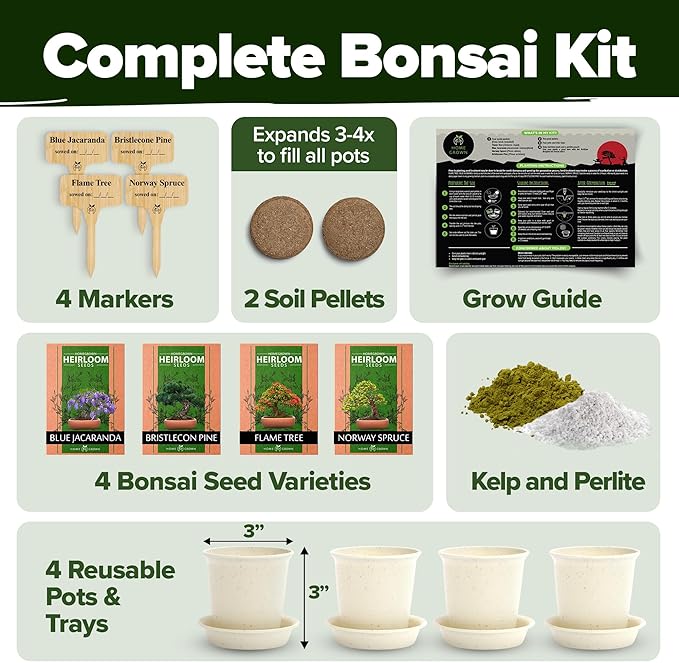 Bonsai Tree Kit - Gifts for Men & Women - Grow 4 Bonsai Trees - Unique Gardening Crafts for Adults, DIY Hobbies for Plant Lovers & Gardeners - Unusual Christmas Gift Ideas for Mom & Dad-VerdiqueGarden