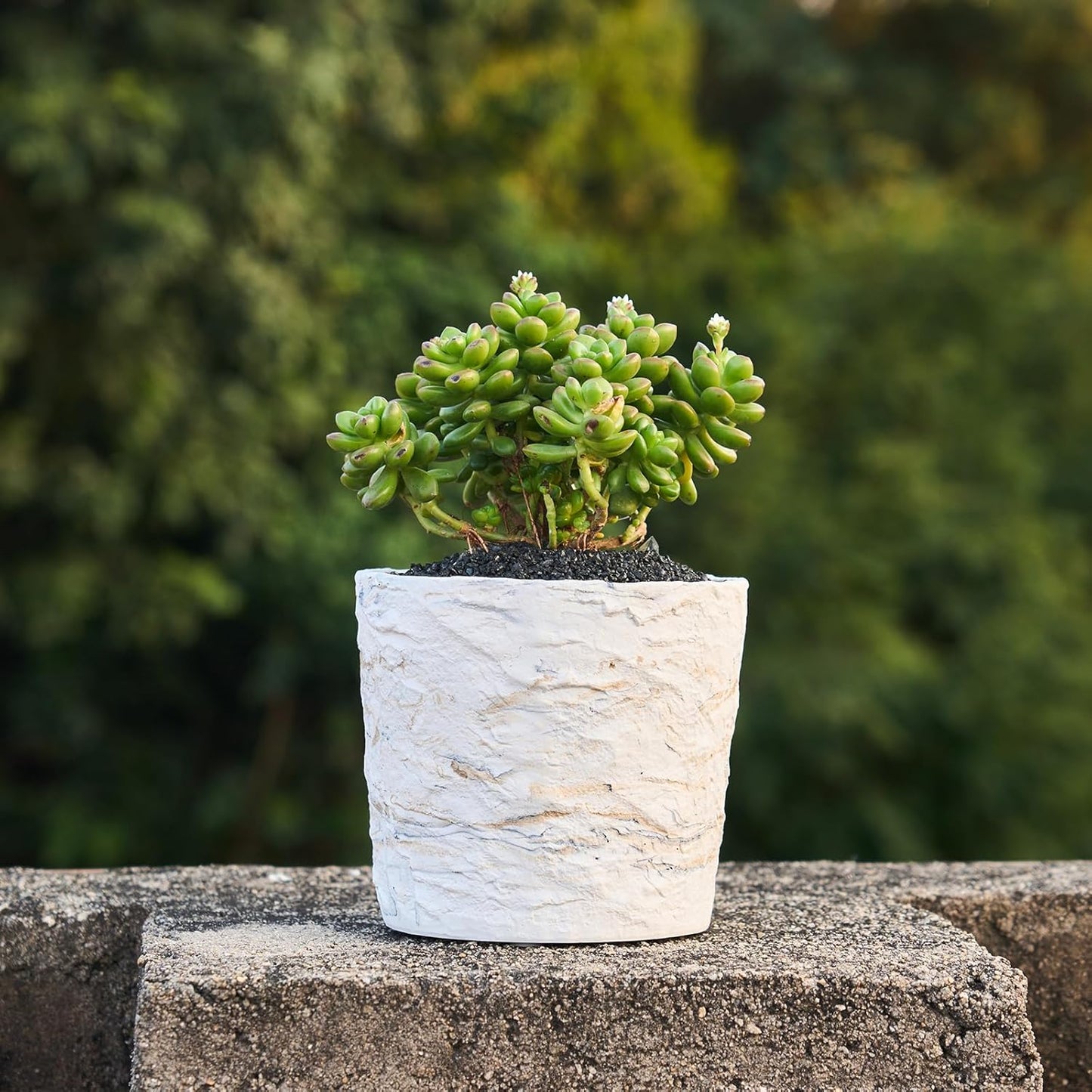 Ekirlin 7 Inch Natural Ore Textures Plant Pot, Resin Outdoor Planters with Drainage Hole, Removable Rubber Stopper and Non-Slip Soft Pad,Weatherproof Decorative Pot for Indoor/Garden Plants-VerdiqueGarden