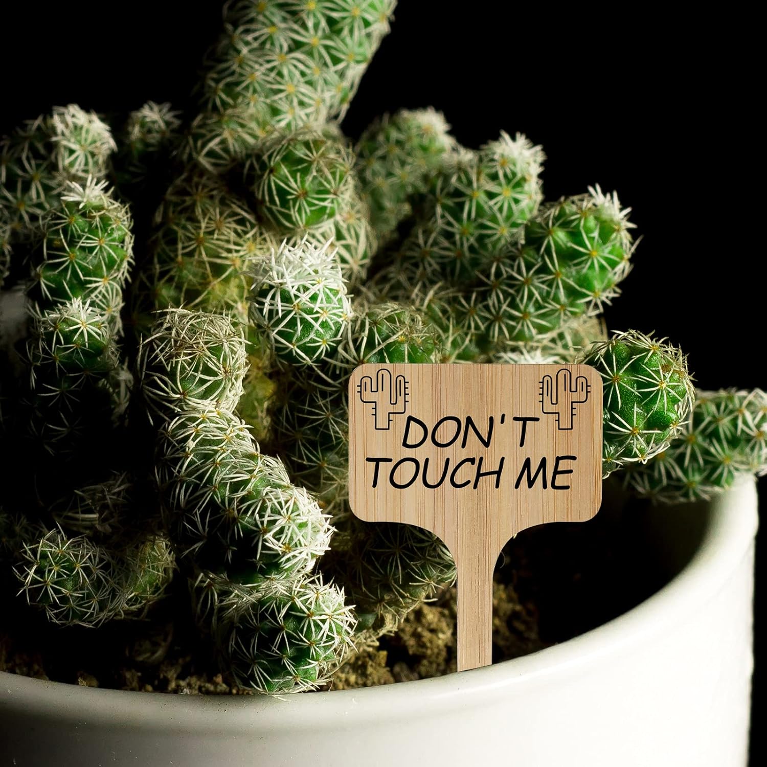 100Pcs Wooden Plant Labels, Eco-Friendly T-Type Bamboo Plant Labels Tags Garden Plant Markers for Seed Potted Herbs Flowers Vegetables (6 x 10 cm)-VerdiqueGarden