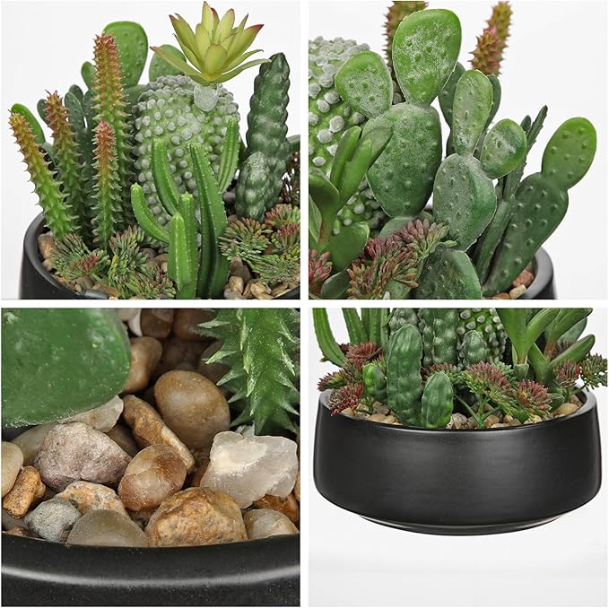 DILATATA Artificial Cactus Plants in Pot 5.5 Inch Fake Succulents Arrangement Potted Plant in Black Ceramic Planter Bowl for Home Office Desk Shelf Living Room Bedroom Bathroom Decor-VerdiqueGarden