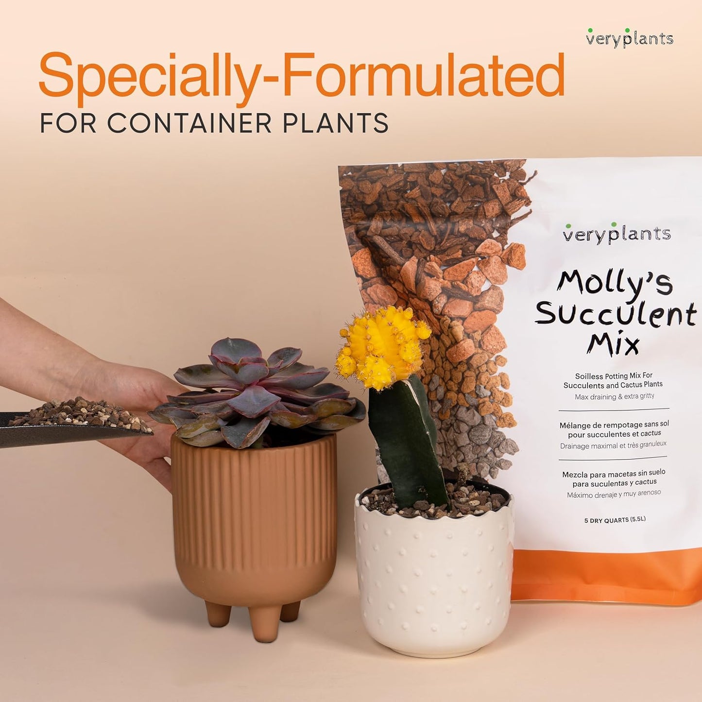 Molly's Succulent Mix - Premium Gritty Soilless Potting Mix for Succulents, Cactus and Bonsai - Contains Akadama, Hyuga, Bark Fines, Pumice, Lava Rock, Mycorrhizae 5 Dry Quarts-VerdiqueGarden