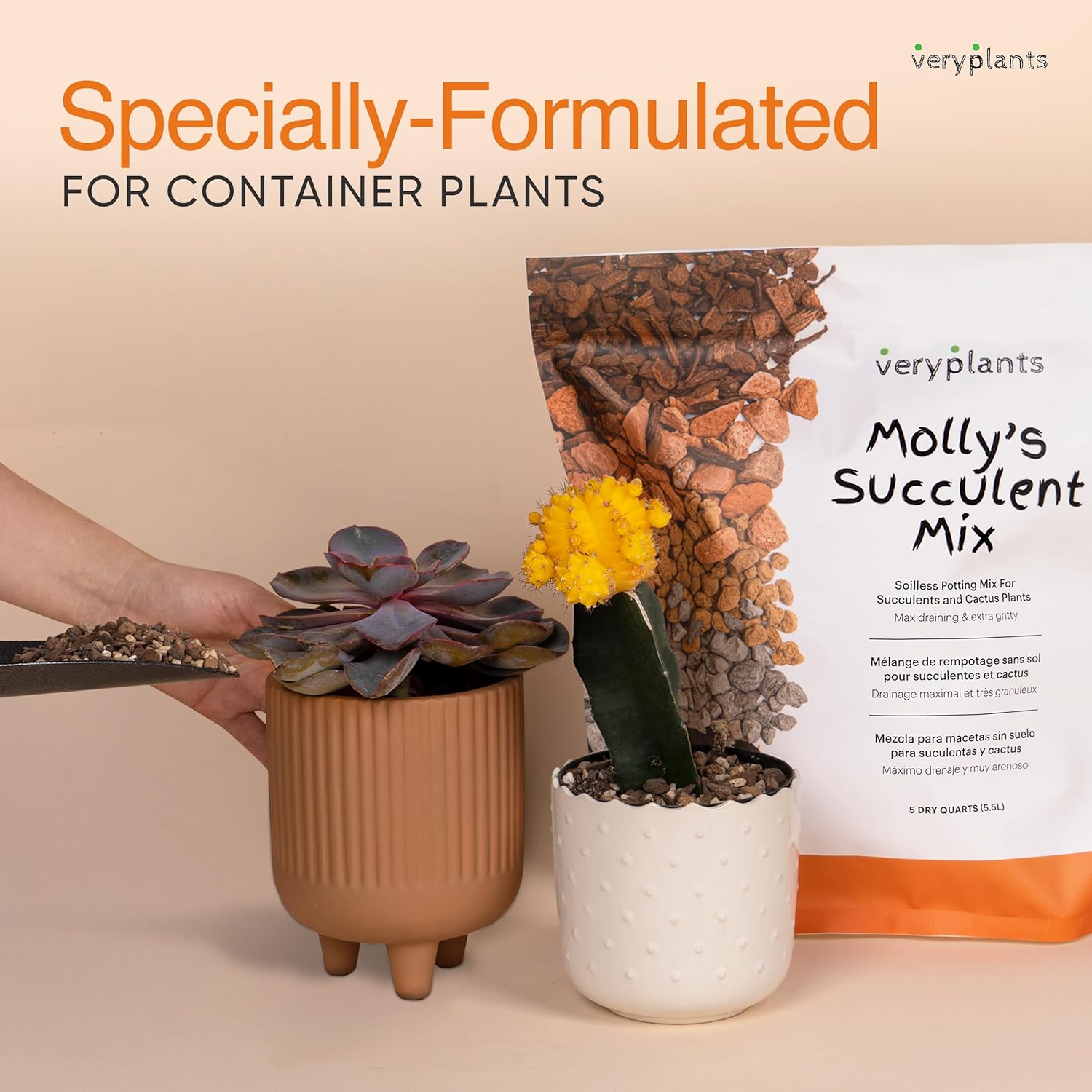 Molly's Succulent Mix - Premium Gritty Soilless Potting Mix for Succulents, Cactus and Bonsai - Contains Akadama, Hyuga, Bark Fines, Pumice, Lava Rock, Mycorrhizae 3 Dry Quarts-VerdiqueGarden