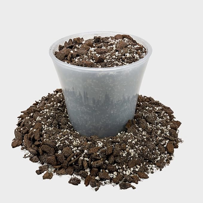 Professional Succulent Soil Premium All Purpose Blend | Pre-Mixed Ready to Use for Cactus and Succulents | Sphagnum Peat Moss, Perlite, New Zealand Pine Bark - Made in USA - 4 Quart-VerdiqueGarden