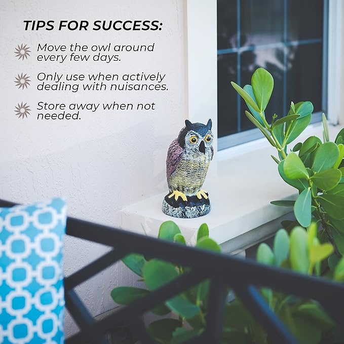 Galashield Owl Decoy to Scare Birds Away | Plastic Owls to Scare Birds Away | Owl Statue for Garden & Outdoors-VerdiqueGarden