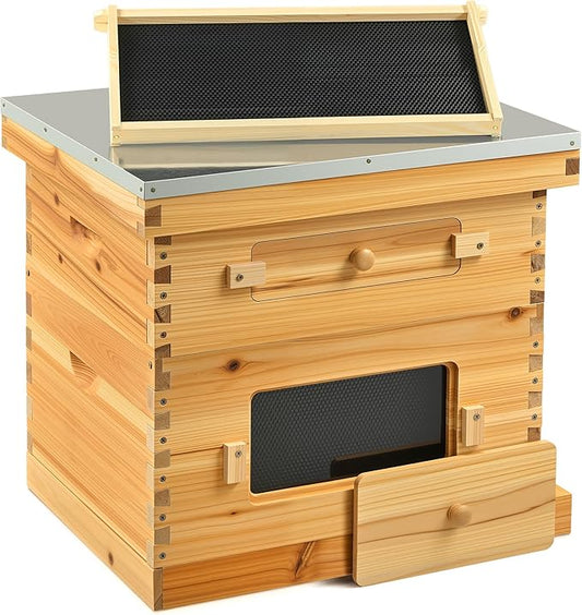 CREWORKS 10 Frame Bee Hive, 2 Layers Beeswax Coated Beehive Starter Kit with Frames & Foundations, Langstroth Bees Hives Box with Transparent Acrylic (Window Medium Box & Deep Box)-VerdiqueGarden