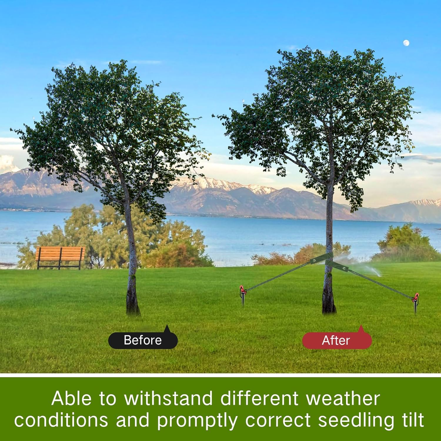 Sintuff 9 Set Heavy Duty Tree Stake Kit 15.75 Inches/ 40 cm Tree Straps for Staking and 13.12 ft/ 4 m Dock Lines Rope for Support Anchoring Home Leaning Plant Straightening Garden Tent (Army Green)-VerdiqueGarden