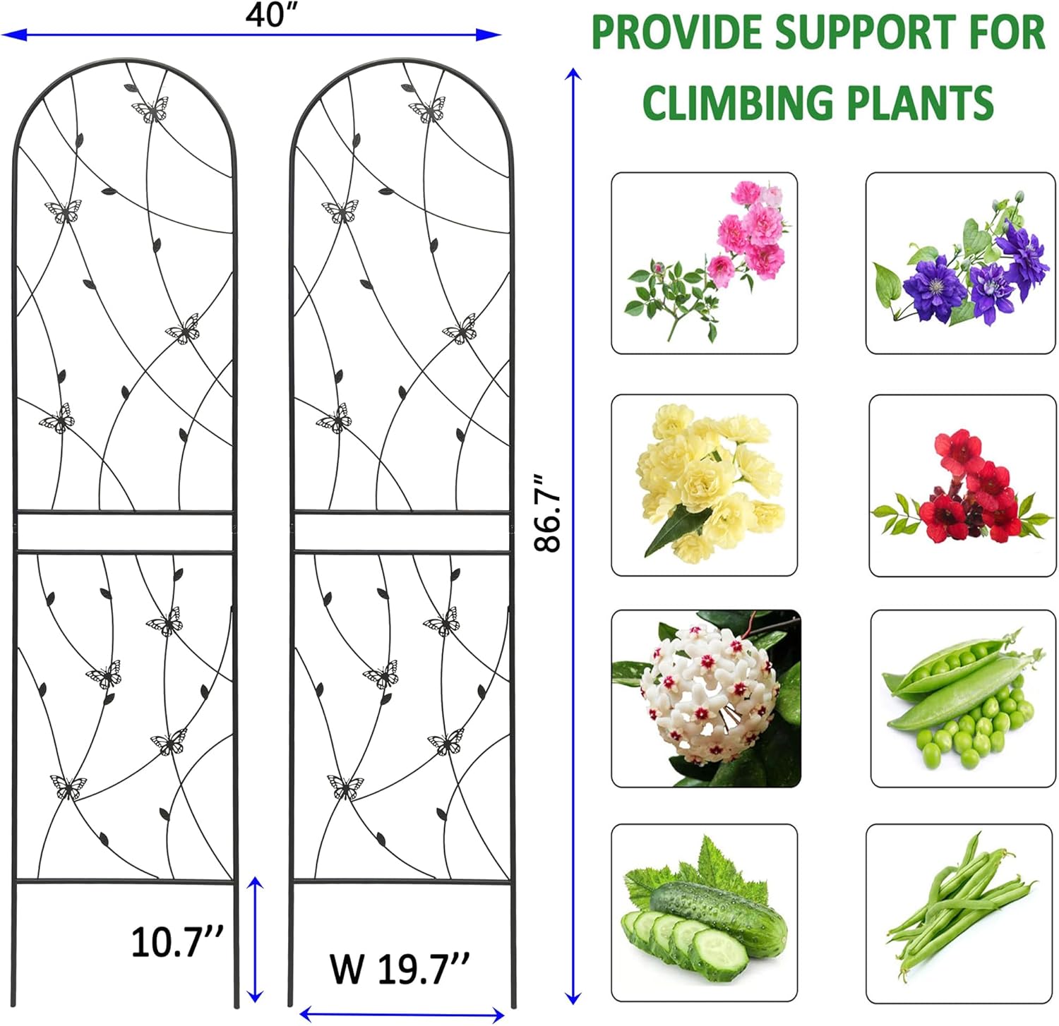 2 Pack Metal Garden Trellis 86.7" Tall Outdoor Climbing Plant Support for Roses, Flowers, Rustproof Durable Black Galvanized Tube, Lawn Garden Fence Decor Screen (2, Black flutter-86.7" H)-VerdiqueGarden