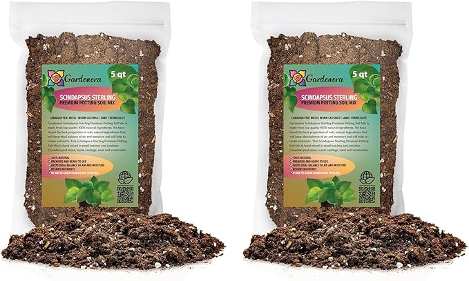 Scindapsus Sterling Plant Potting Soil - All-Natural Blend for Thriving Scindapsus Sterling Plants - Boosts Root Health and Striking Foliage - 10 Quart-VerdiqueGarden