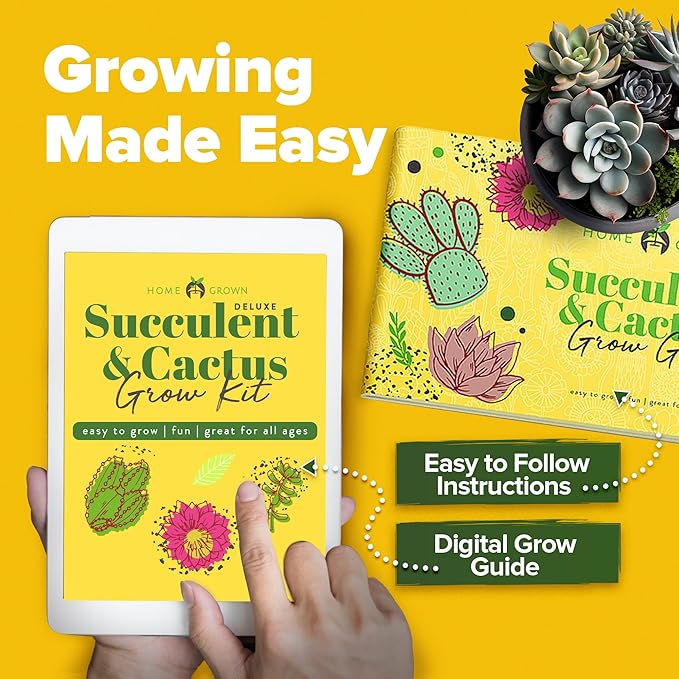 HOME GROWN Deluxe Succulent & Cactus Seed Grow Kit - Complete Indoor Plant Kit with Cactus Seeds, Potting Soil, Ceramic Pots, Drip Trays, and Grow Guide for Plant Enthusiasts-VerdiqueGarden