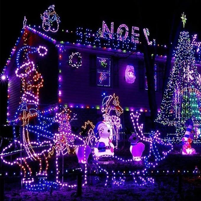 200ft LED Rope Lights Outdoor, 1440 LED Flexible Tube Lights with 8 Modes, Waterproof LED Rope Lighting for Outside, Garden, Patio, Bedroom, Party, Pool, Fences, Indoor Outdoor Decoration (Purple)-VerdiqueGarden