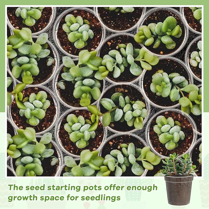Yaomiao 200 Pcs 2 Inch Clear Mini Plastic Plant Pot Nursery Seedling Pots Seed Starter with Drainage Holes for Indoor Outdoor Garden Succulent Plants Cuttings Transplanting-VerdiqueGarden