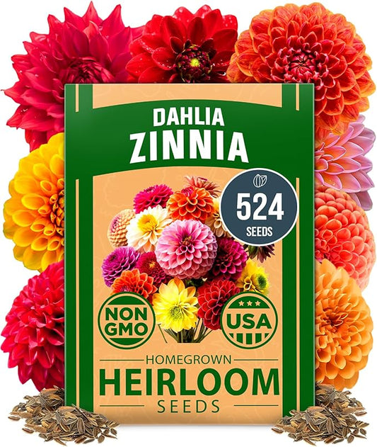 HOME GROWN 𝗨𝗦𝗔 𝗣𝗥𝗘𝗠𝗜𝗨𝗠 Zinnia Dahlia Seeds Pack for 2025 – 524 𝗡𝗢𝗡-𝗚𝗠𝗢 Flower Seeds | Vibrant Zinnia Elegans for Pollinator Gardens, Borders & Containers | Easy-to-Grow Outdoor Blooms-VerdiqueGarden