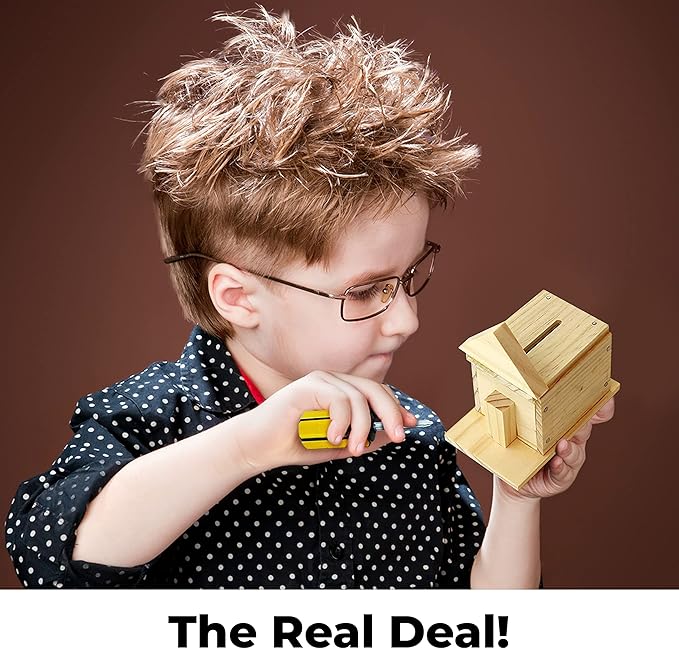 Kraftic Woodworking Building Kit for Kids and Adults, with 6 Educational Arts and Crafts DIY Carpentry Construction Wood Model Kit Toy Projects for Boys and Girls-VerdiqueGarden