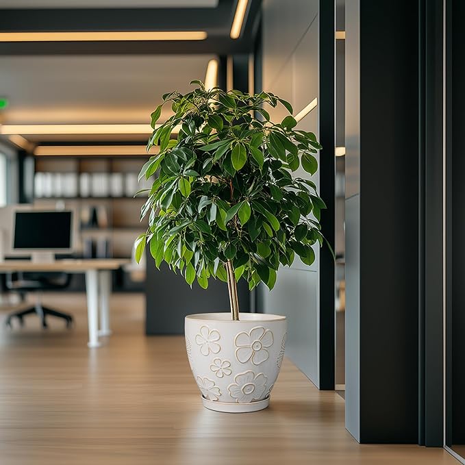 10 Inch Ceramic Planter Pot Large Plant Pot for Indoor Plants Outdoor Round Flower Pot with Drainage Hole and Saucer for Home Garden Decor White-VerdiqueGarden