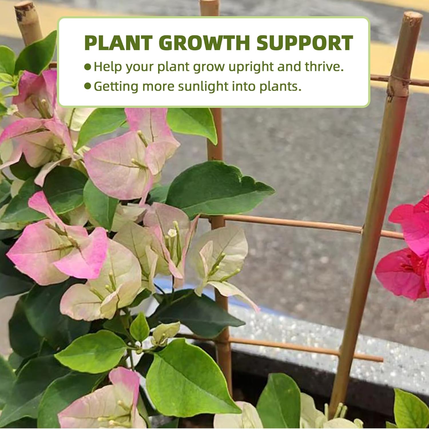 Bamboo Trellis for Climbing Plants 20 Pack, 16 Inch Garden Ladder Trellis for Potted Plants Indoor, Small Plant Support Trellis for Houseplants Vine-VerdiqueGarden