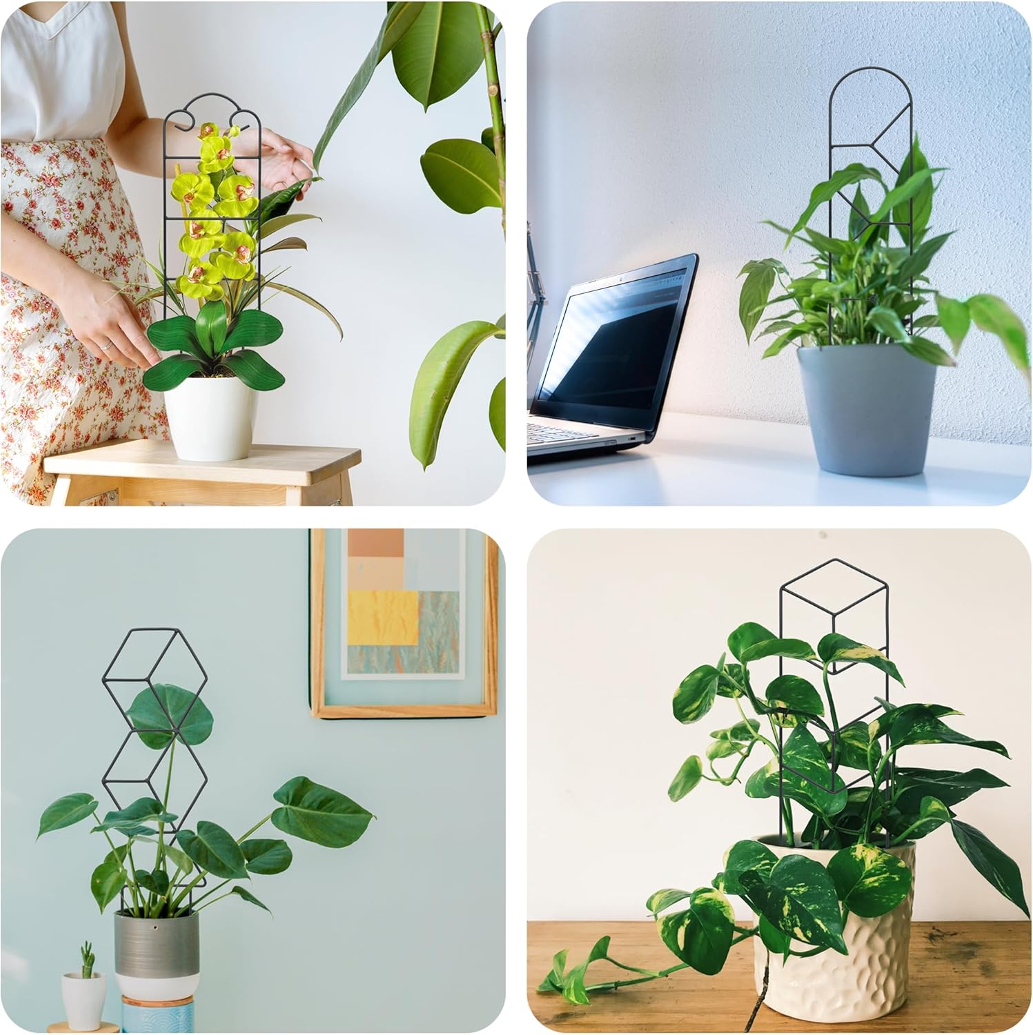 16 Inch Plant Trellis Indoor for Potted Plants 4 Pack Indoor Plant Trellis for Climbing Plants Houseplant Trellis Metal Garden Pot Trellis for Vine Ivy Support(16inch Black)-VerdiqueGarden