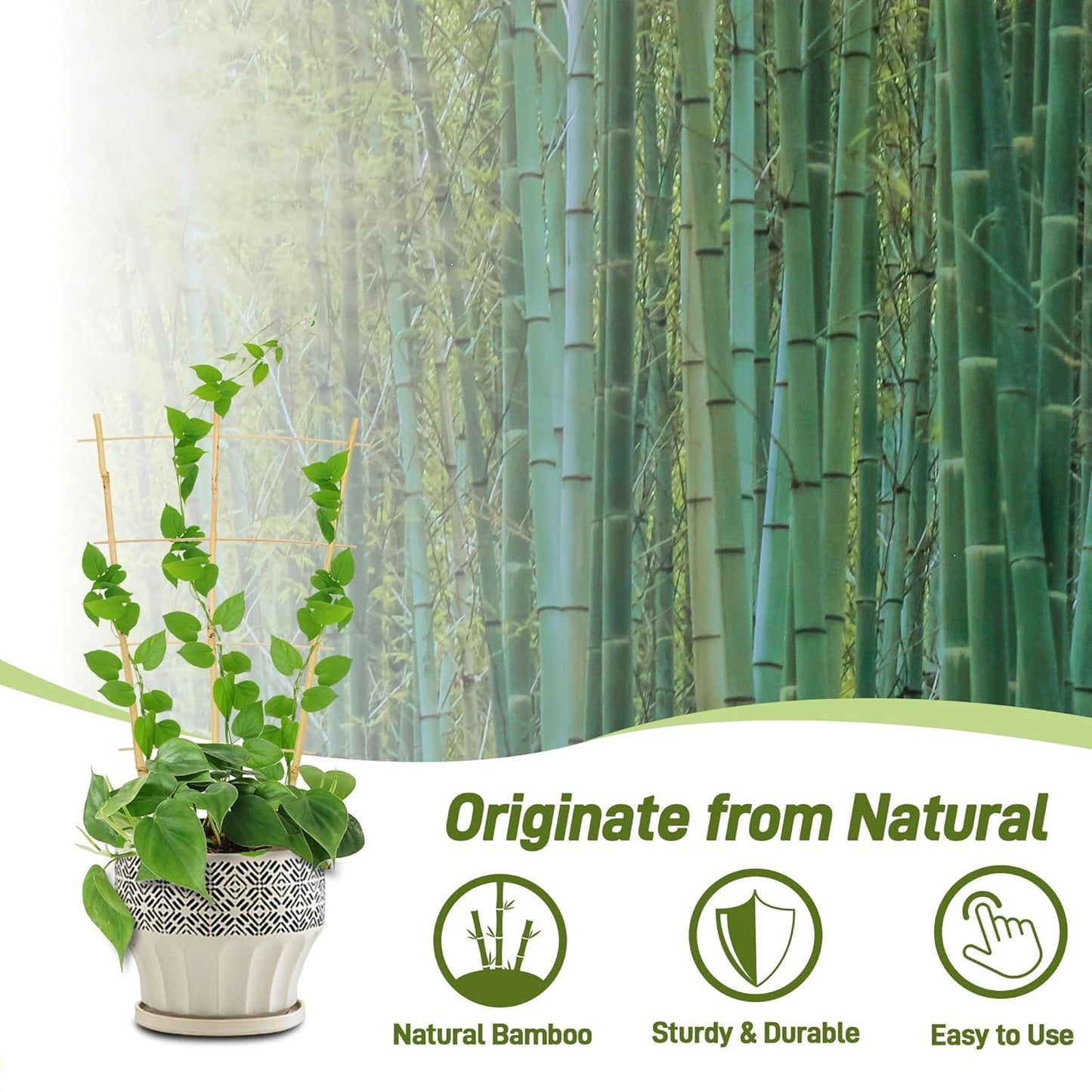 Avalution 10 Pack Bamboo Trellis for Climbing Plants, 2 FT Garden Ladder Trellis for Potted Plants Indoor, Fan-Shaped Small Plant Support Trellis for Houseplants Ivy Hoya Vine Monstera-VerdiqueGarden