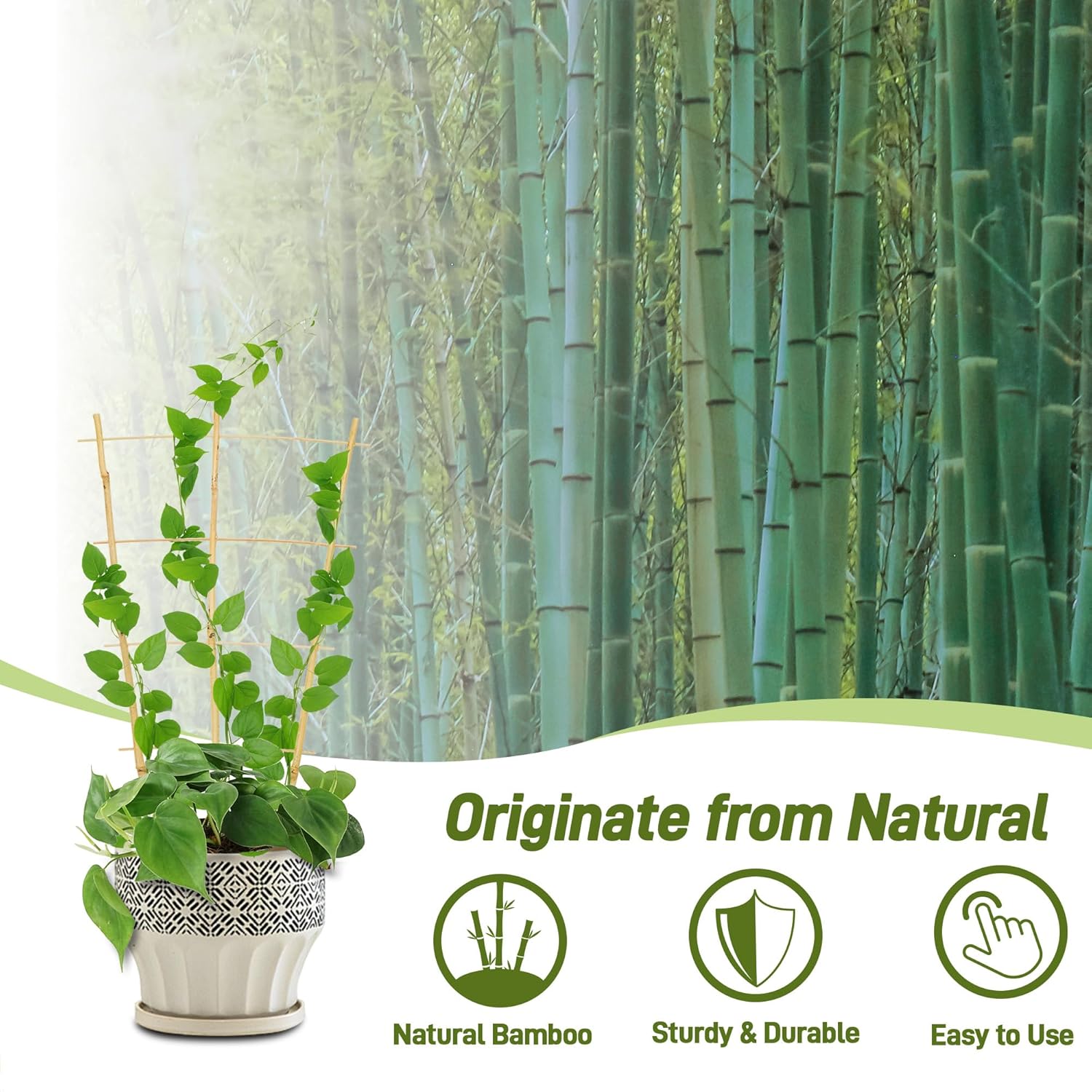 Avalution 10 Pack Bamboo Trellis for Climbing Plants, 2 FT Garden Ladder Trellis for Potted Plants Indoor, Fan-Shaped Small Plant Support Trellis for Houseplants Ivy Hoya Vine Monstera-VerdiqueGarden