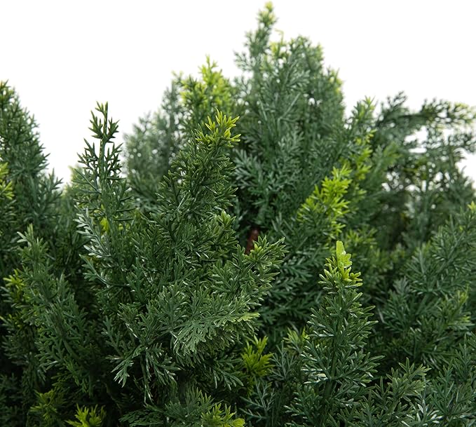 Premium 16" Diameter Artificial Cypress Topiary – Set of 2 Faux Plants with Ground Spikes – UV-Resistant, Realistic Outdoor & Indoor Greenery – Weatherproof Garden Landscaping Décor-VerdiqueGarden