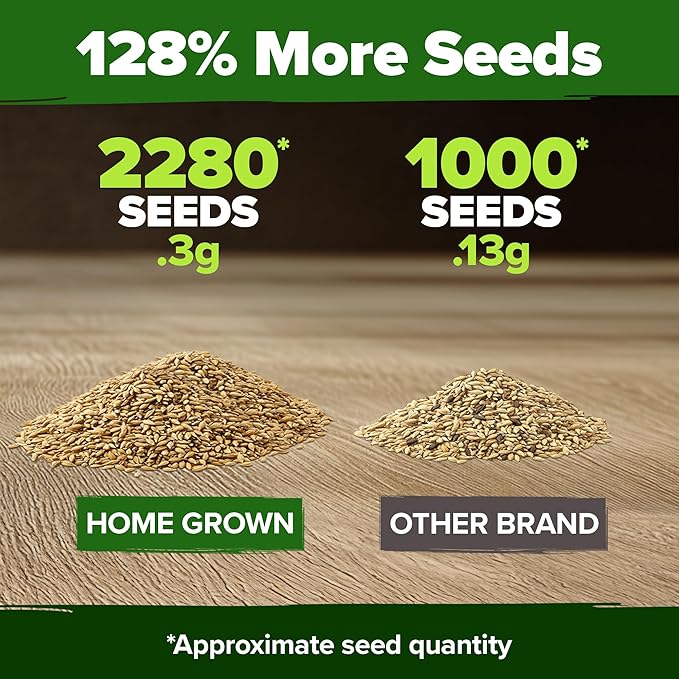 HOME GROWN 𝗨𝗦𝗔 𝗣𝗥𝗘𝗠𝗜𝗨𝗠 German Chamomile Seed Pack – 2,280 𝗡𝗢𝗡-𝗚𝗠𝗢 Heirloom Seeds for Planting for Sustainable Gardens and Soothing Medicinal Herbal Teas (Matricaria chamomilla)-VerdiqueGarden