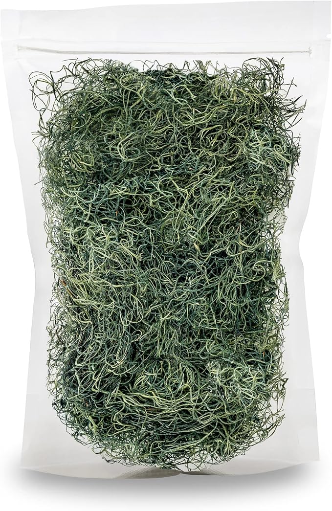 Premium Spanish Moss in Basil| Natural Preserved - Great Ground Cover - Filler for Potted Plants - by GARDENERA - 5 Quart Bag-VerdiqueGarden