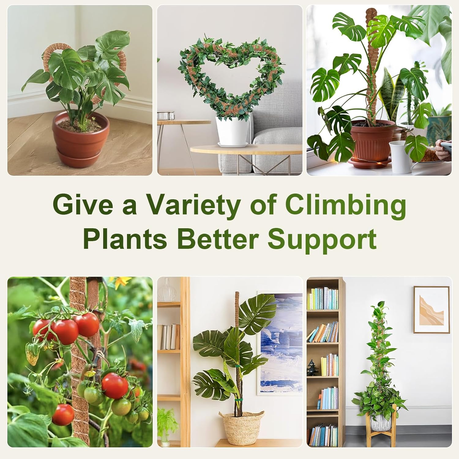 2 Pack 63'' Bendable Moss Pole Monstera Plant Support for Indoor Climbing Plants, Tall Plant Stick Support Stake for Potted Plants, Pothos, Philodendron-VerdiqueGarden