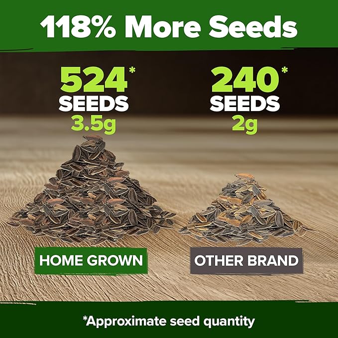 HOME GROWN 𝗨𝗦𝗔 𝗣𝗥𝗘𝗠𝗜𝗨𝗠 Zinnia Dahlia Seeds Pack for 2025 – 524 𝗡𝗢𝗡-𝗚𝗠𝗢 Flower Seeds | Vibrant Zinnia Elegans for Pollinator Gardens, Borders & Containers | Easy-to-Grow Outdoor Blooms-VerdiqueGarden