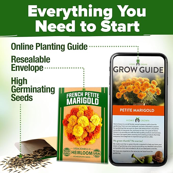 HOME GROWN 𝗨𝗦𝗔 𝗣𝗥𝗘𝗠𝗜𝗨𝗠 Petite French Marigold Seeds 329+ Flower Seeds for Planting Outdoors Easy to Grow Companion Plant & Quick Blooming Pollinator Heirloom Wildflower Seed (Tagetes patula)-VerdiqueGarden