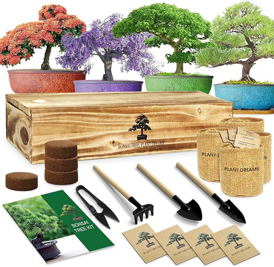 Bonsai Tree Kit, Bonsai Starter Kit for Growing Bonsai Plants with Tools, Grow Bonsai Tree Live Indoor, Garden Crafts Hobby Kits, Unique DIY Gardening Gifts for Men Women Mother-VerdiqueGarden