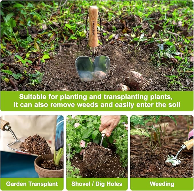 Berry&Bird Perennial Trowel, Oversized Garden Potting Trowel with Sharp Blade Wood Hand Shovel, Stainless Steel Planting Trowel Gardening Tool for Roots,Planting,Digging,Transplanting and Cutting-VerdiqueGarden