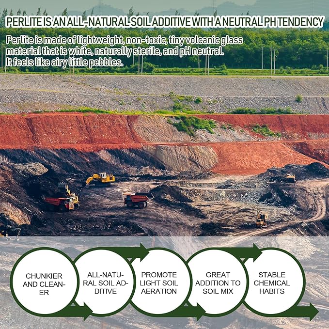 10QT Horticultural Perlite Bulk, Organic Perlite for Plants, Course Perlite for Gardening, for Plants Indoor, for Houseplants, to Promotes Soil Root Growth, and Water Drainage and Plant Growth(3-6mm)-VerdiqueGarden