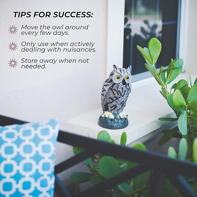 Galashield Owl Decoy to Scare Birds Away | Plastic Owls to Scare Birds Away | Owl Statue for Garden & Outdoors-VerdiqueGarden