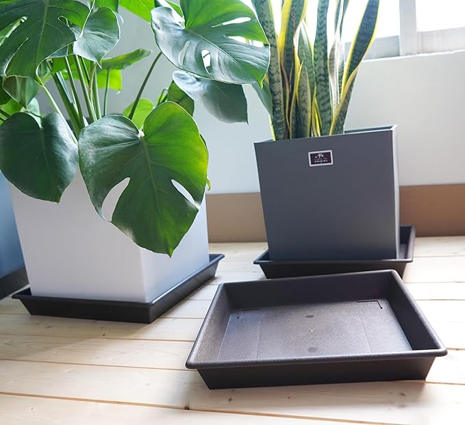 Square Plant Saucer 12 Inch 5 Pack, Plant Stand Plant Trays for Pots Heavy Duty Plastic Plant Saucers for Indoors Outdoors, Flower Pot No Holes Plant Lover Gardening Gifts-VerdiqueGarden