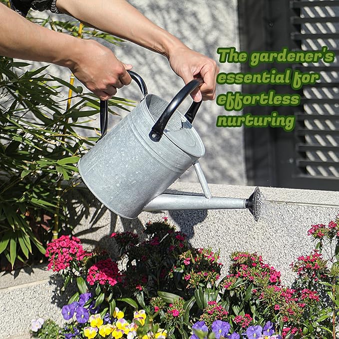 1 Gallon Watering Can for Plants, Watering Cans for Indoor&Outdoor Gardening, Galvanized Steel Watering Pot with Removable Spout, Metal Water Can with Ergonomic Movable Handle(Rustic Silver)-VerdiqueGarden