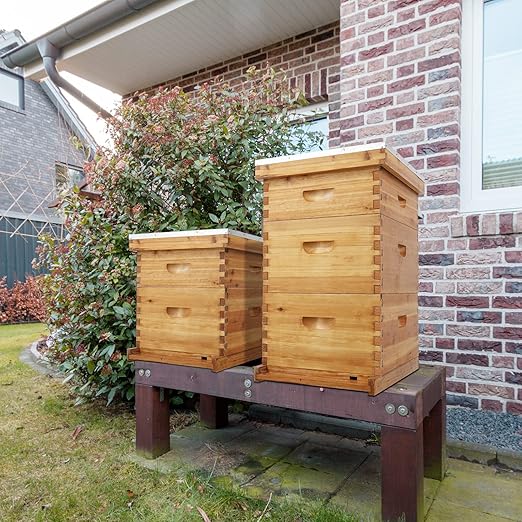 VINGLI 10-Frame Bee Hive, Wax Coated Beehive Starter Kit with Frames & Beeswax Coated Foundation Sheets (3 Layer)-VerdiqueGarden