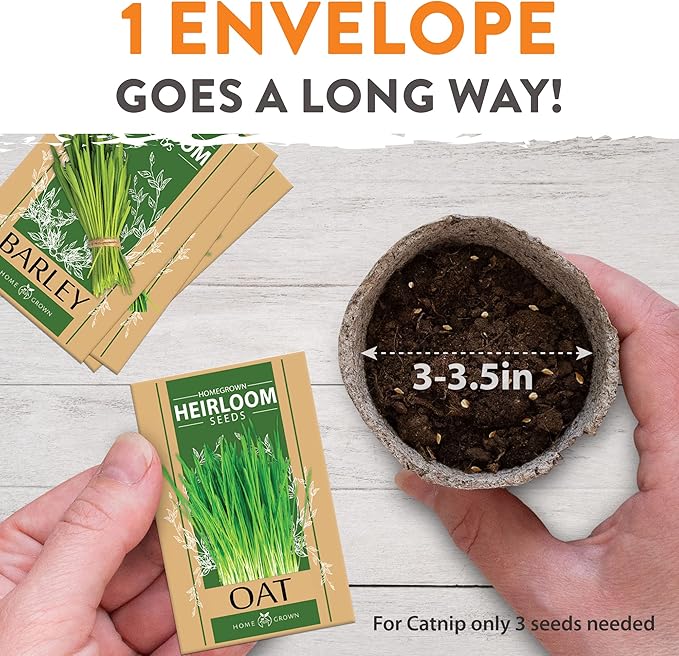 HOME GROWN 3 Cat Grass Seed Mix – Non-GMO Heirloom Oat, Alfalfa & Cat Grass Seeds | Indoor Pet Grass for Cats | High-Germination Greens for Hairball Control, Digestion, and Chewing Enrichment-VerdiqueGarden