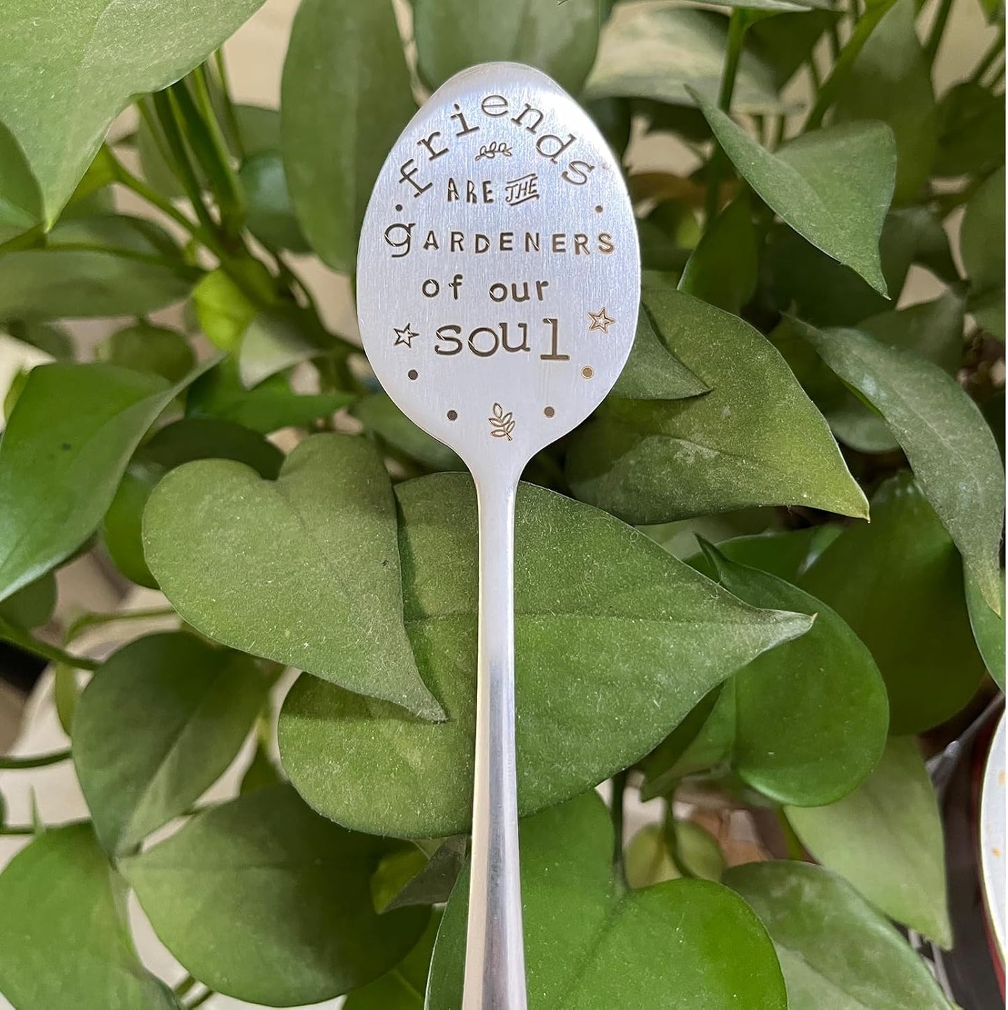 Garden Marker Plant Marker Friendship Plant Gift Garden Label-VerdiqueGarden