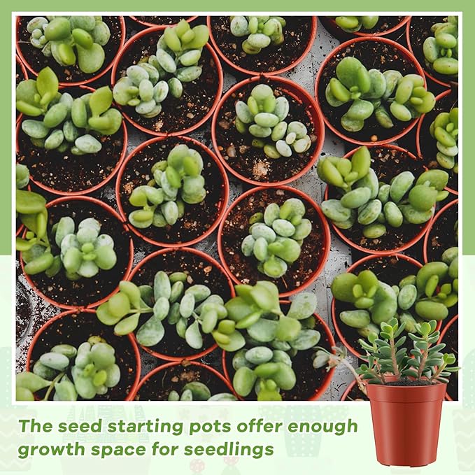 Yaomiao 200 Pcs 2 Inch Red Mini Plastic Plant Pot Nursery Seedling Pots Seed Starter with Drainage Holes for Indoor Outdoor Garden Succulent Plants Cuttings Transplanting-VerdiqueGarden