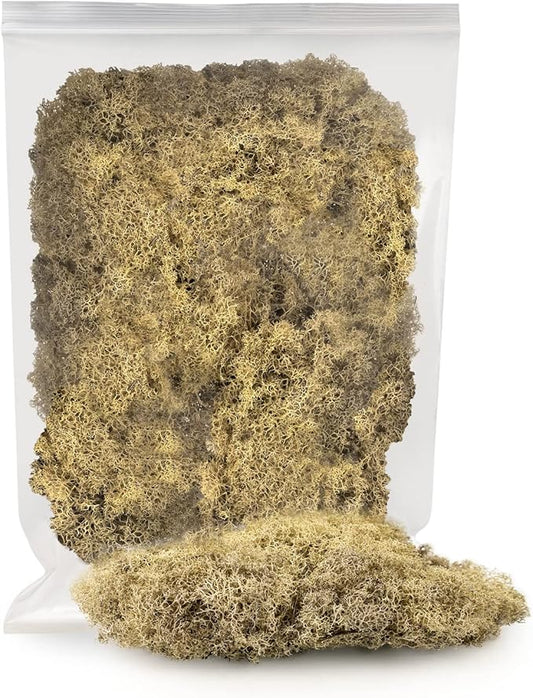 Premium Preserved Reindeer Moss for Potted Plants, Terrariums, Fairy Gardens, Arts and Crafts or Floral Decor Design in Natural (1 Quart Bag)-VerdiqueGarden